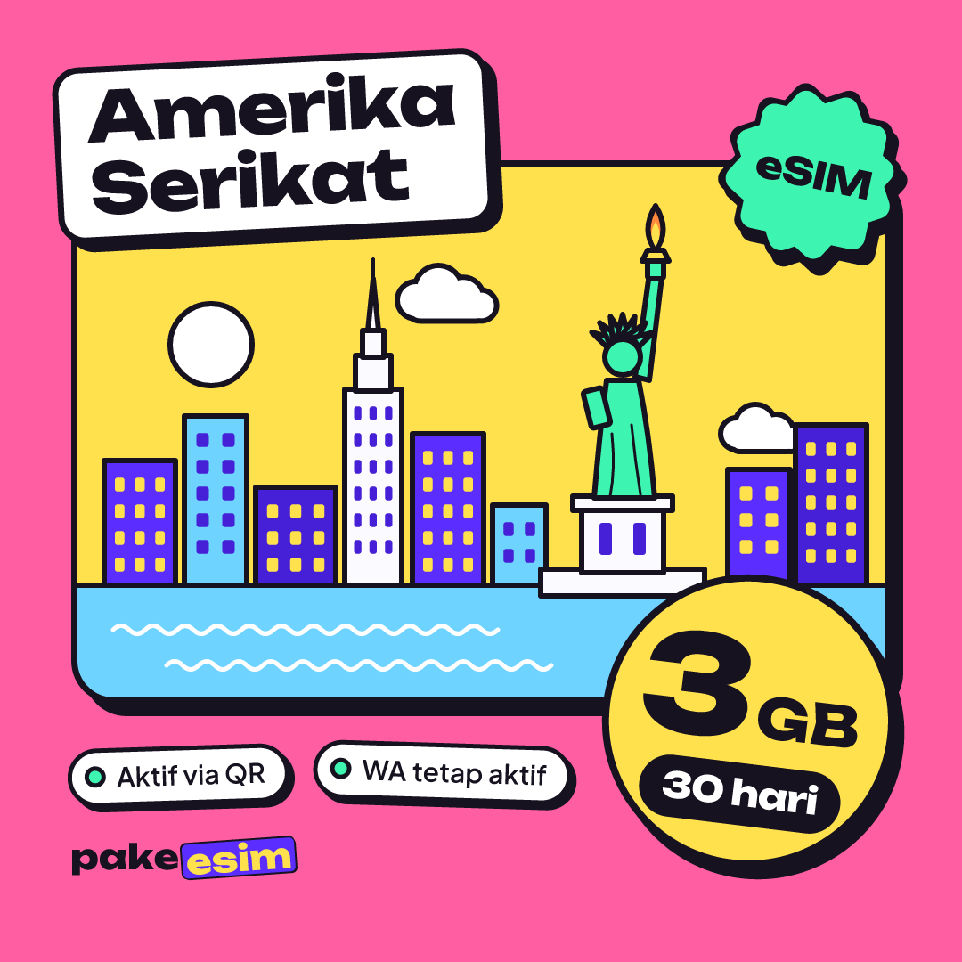 eSIM United States 3 GB plan for 30 days from pakeesim